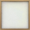 Flanders PrecisionAire 20 In. x 30 In. x 1 In. EZ Flow II MERV 4 Furnace Filter