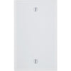 Leviton 1-Gang Standard Thermoset Blank Wall Plate, White