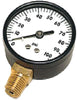 0-100 PSI LM PLASTIC PRESSURE GAUG