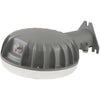 Stonepoint 4000 Lumen LED Dusk to Dawn Barn Light Fixture
