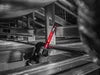 Diablo 9 10TPI AMPED™ Steel Demon™ Carbide Teeth Reciprocating Saw Blades for Medium Metal