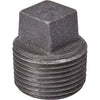 B&K 1/4 In. Malleable Black Iron Pipe Plug